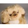 Pikabu Pekingese Dog Stuffed Plush Animal Display Prop
