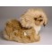 Tricki Pekingese Dog Stuffed Plush Animal Display Prop