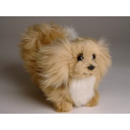 http://animalprops.com/1239-thickbox_default/fifi-pekingese-dog-stuffed-plush-animal-display-prop.jpg