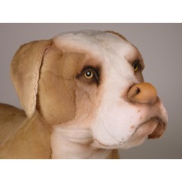 brown pitbull stuffed animal