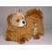 Kimchi Pomeranian Dog Stuffed Plush Animal Display Prop
