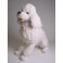 Sugar Poodle Dog Stuffed Plush Animal Display Prop
