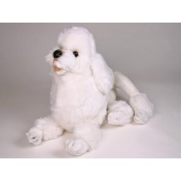 http://animalprops.com/1279-thickbox_default/zsa-zsa-poodle-dog-stuffed-plush-animal-display-prop.jpg
