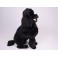 Dilly Poodle Dog Stuffed Plush Animal Display Prop