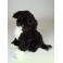 Girella Portuguese Water Dog Stuffed Plush Animal Display Prop