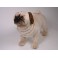 Frank Pug Dog Stuffed Plush Realistic Lifelike Lifesize Animal Display Prop