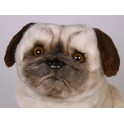 Otis Pug Dog Stuffed Plush Realistic Lifelike Lifesize Animal Display Prop