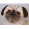 Otis Pug Dog Stuffed Plush Animal Display Prop