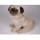 Otis Pug Dog Stuffed Plush Realistic Lifelike Lifesize Animal Display Prop