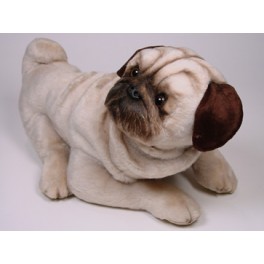 http://animalprops.com/1318-thickbox_default/hugh-pug-dog-stuffed-plush-animal-display-prop.jpg