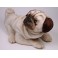 Hugh Pug Dog Stuffed Plush Animal Display Prop