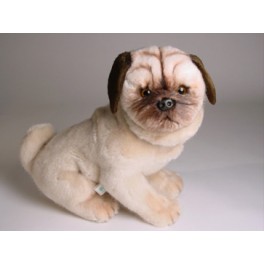 http://animalprops.com/1321-thickbox_default/jessica-pug-dog-stuffed-plush-animal-display-prop.jpg