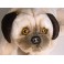 Pompey Pug Dog Stuffed Plush Animal Display Prop