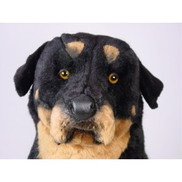 http://animalprops.com/1327-thickbox_default/indo-354-rottweiler-dog-stuffed-plush-animal-display-prop.jpg