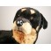 Arnold Rottweiler Dog Stuffed Plush Animal Display Prop