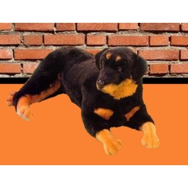 http://animalprops.com/1333-thickbox_default/jake-354-rottweiler-dog-stuffed-plush-animal-display-prop.jpg