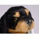 Zhaki 13.8" Rottweiler Dog Stuffed Plush Animal Display Prop