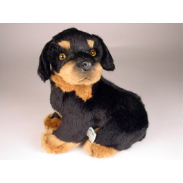 http://animalprops.com/1343-thickbox_default/ms-muffet-138-rottweiler-dog-stuffed-plush-animal-display-prop.jpg
