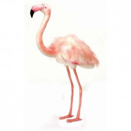 http://animalprops.com/135-thickbox_default/faye-flamingo-plush-stuffed-display-prop.jpg