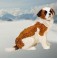 George 27.61" Saint Bernard Dog Stuffed Plush Animal Display Prop