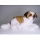 Gumbo 19.7" Saint Bernard Dog Stuffed Plush Animal Display Prop