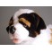 Bernie Saint Bernard Dog Stuffed Plush Animal Display Prop