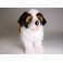 Bernie Saint Bernard Dog Stuffed Plush Animal Display Prop