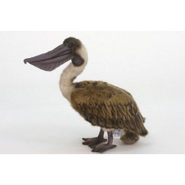 http://animalprops.com/138-thickbox_default/alan-pelican-plush-stuffed-display-prop.jpg