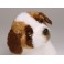 Annabelle 7.9" Saint Bernard Dog Stuffed Plush Animal Display Prop