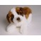 Annabelle Saint Bernard Dog Stuffed Plush Animal Display Prop