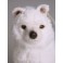 Kaifas Samoyed Dog Stuffed Plush Animal Display Prop