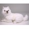 Suggen Samoyed Dog Stuffed Plush Animal Display Prop