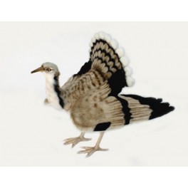 http://animalprops.com/140-thickbox_default/hobie-houbara-bustard-bird-plush-stuffed-display-prop.jpg