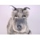 Leader Schnauzer Dog Stuffed Plush Animal Display Prop