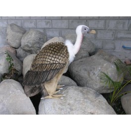 http://animalprops.com/142-thickbox_default/agatha-vulture-bird-plush-stuffed-display-prop.jpg