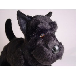 http://animalprops.com/1427-thickbox_default/fala-scottish-terrier-dog-stuffed-plush-animal-display-prop.jpg