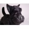 Fala Scottish Terrier Dog Stuffed Plush Animal Display Prop