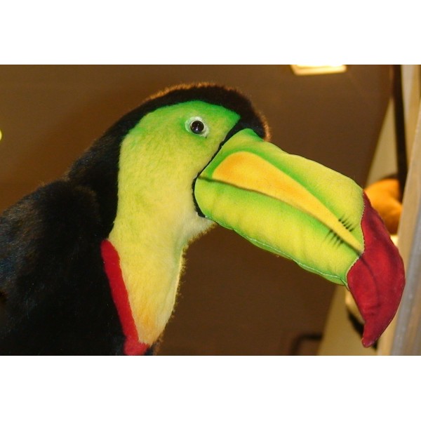 stuffed toucan