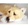 Aki Shiba Inu Dog Stuffed Plush Animal Display Prop