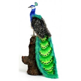 http://animalprops.com/145-thickbox_default/patricia-peacock-bird-plush-stuffed-display-prop.jpg