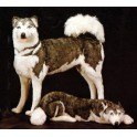 Balto Husky Dog Stuffed Plush Animal Display Prop