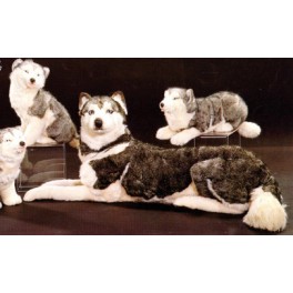 http://animalprops.com/1456-thickbox_default/togo-husky-dog-stuffed-plush-animal-display-prop.jpg