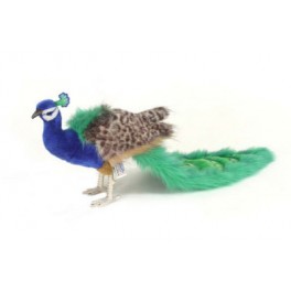 http://animalprops.com/146-thickbox_default/tippy-peacock-bird-plush-stuffed-display-prop.jpg