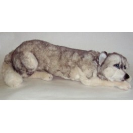 http://animalprops.com/1460-thickbox_default/gus-husky-dog-stuffed-plush-animal-display-prop.jpg