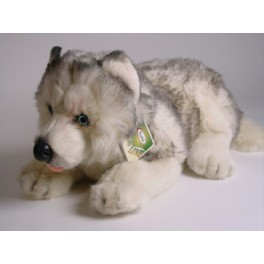 http://animalprops.com/1464-thickbox_default/paws-husky-dog-stuffed-plush-animal-display-prop.jpg