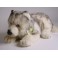Paws Husky Dog Stuffed Plush Animal Display Prop