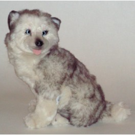 http://animalprops.com/1467-thickbox_default/taro-husky-dog-stuffed-plush-animal-display-prop.jpg