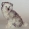Taro Husky Dog Stuffed Plush Animal Display Prop