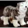 Jiro Husky Dog Stuffed Plush Animal Display Prop