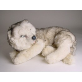 http://animalprops.com/1469-thickbox_default/bullet-husky-dog-stuffed-plush-animal-display-prop.jpg